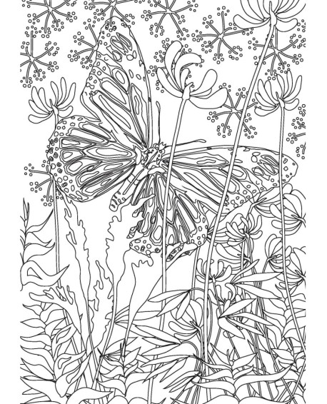 PAPILLONS - COLORIAGES ANTI-STRESS