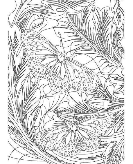 PAPILLONS - COLORIAGES ANTI-STRESS