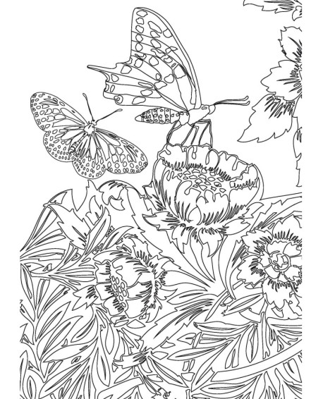 PAPILLONS - COLORIAGES ANTI-STRESS