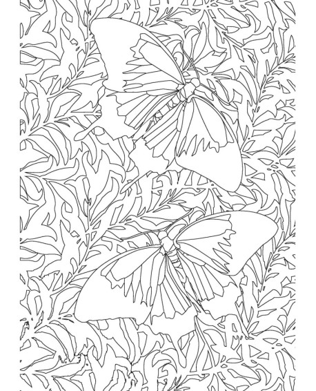 PAPILLONS - COLORIAGES ANTI-STRESS