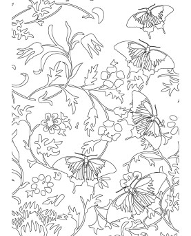 PAPILLONS - COLORIAGES ANTI-STRESS