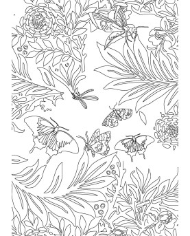 PAPILLONS - COLORIAGES ANTI-STRESS