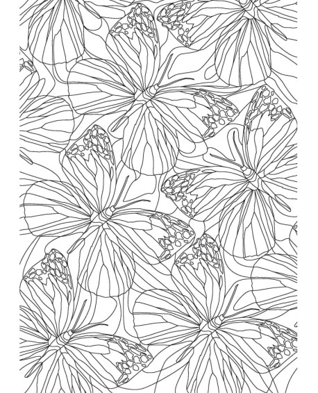 PAPILLONS - COLORIAGES ANTI-STRESS