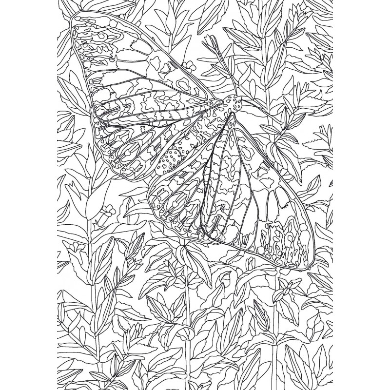 https://victoires.com/1251-thickbox_default/papillons-coloriages-anti-stress.jpg