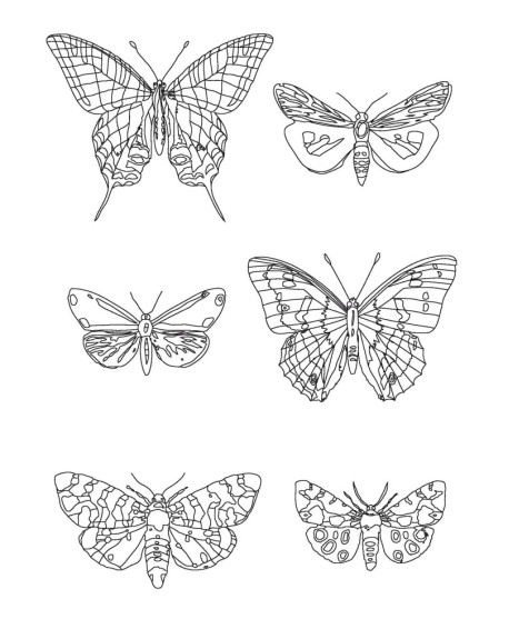 PAPILLONS - COLORIAGES ANTI-STRESS