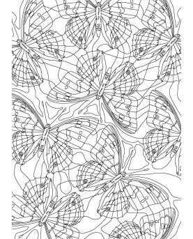 PAPILLONS - COLORIAGES ANTI-STRESS