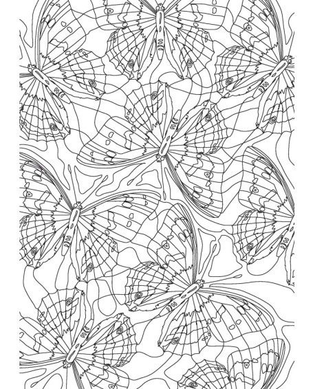 PAPILLONS - COLORIAGES ANTI-STRESS