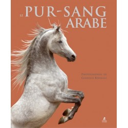 Pur-sang arabe