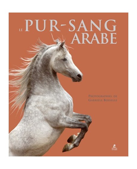 PUR-SANG ARABE