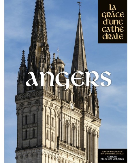 ANGERS - La Grâce d'une Cathédrale