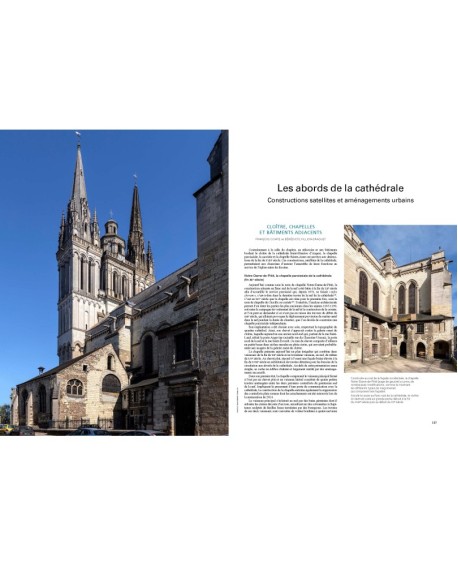 ANGERS - La Grâce d'une Cathédrale