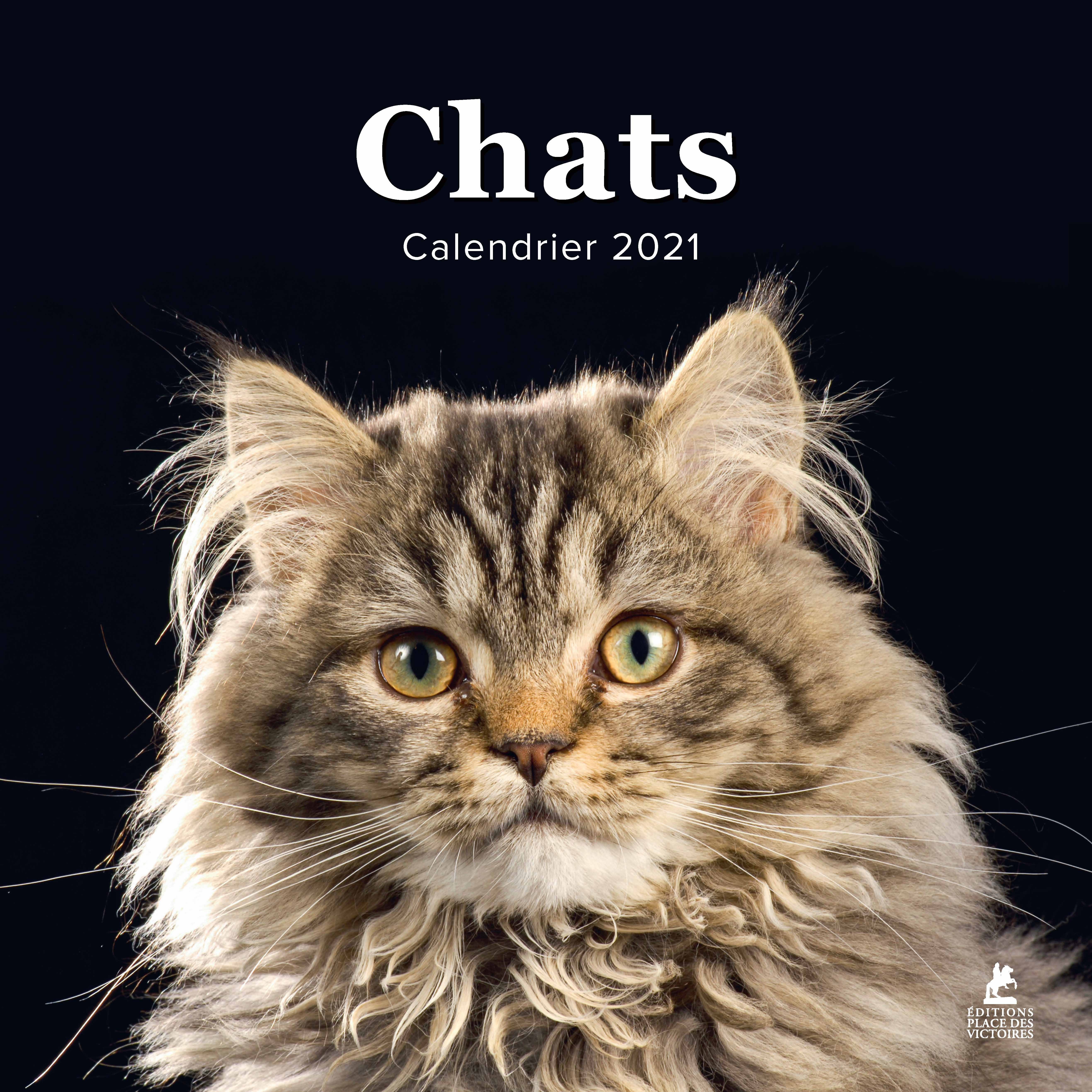 Chats Calendrier 21