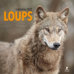 Loups - Calendrier 2022