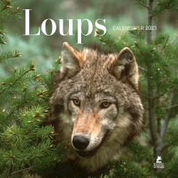 Loups - Calendrier 2023