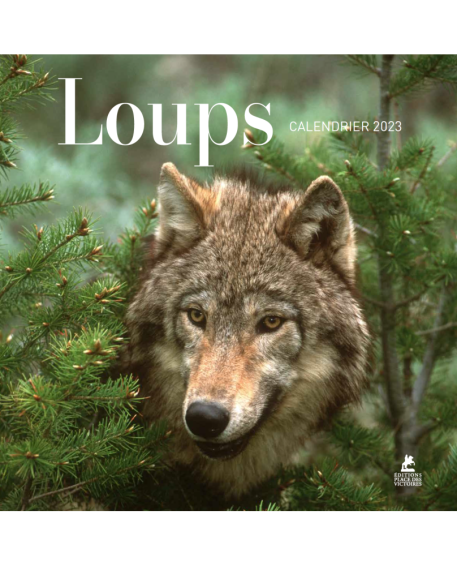 Loups - Calendrier 2023