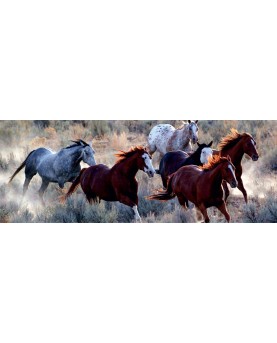 Chevaux - Calendrier 2023