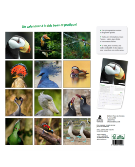 Oiseaux rares du monde - Calendrier 2023