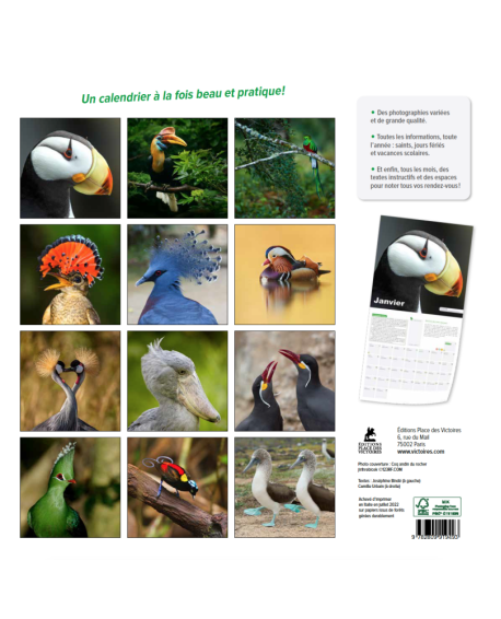 Oiseaux rares du monde - Calendrier 2023