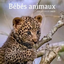 Bébés animaux - Calendrier 2023