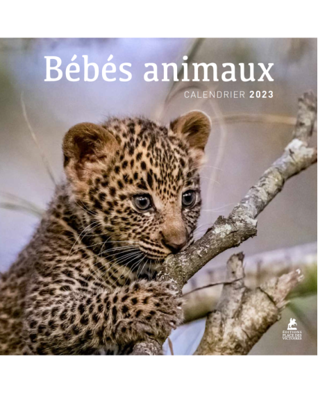 Bébés animaux - Calendrier 2023