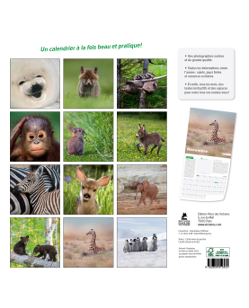 Bébés animaux - Calendrier 2023