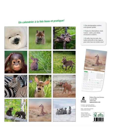 Bébés animaux - Calendrier 2023