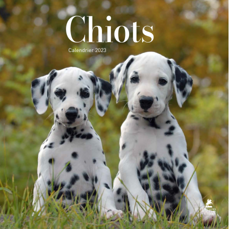 Chiots - Calendrier 2023