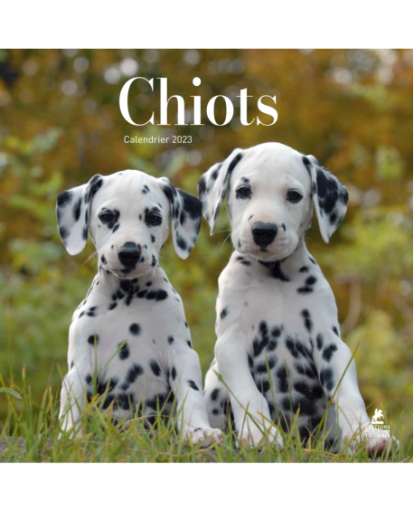 Chiots - Calendrier 2023