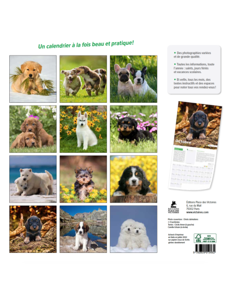 Chiots - Calendrier 2023