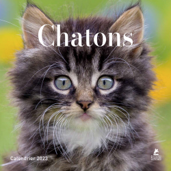 Chatons - Calendrier 2023