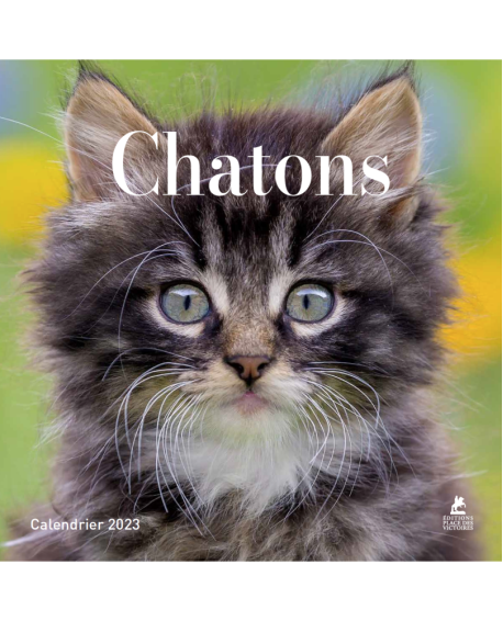 Chatons - Calendrier 2023