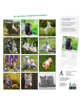 Chatons - Calendrier 2023
