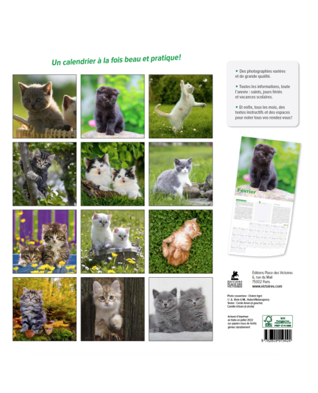 Chatons - Calendrier 2023