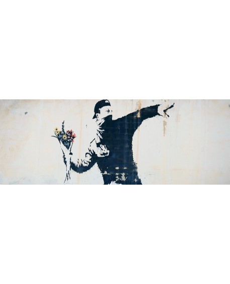 Livre Banksy, Le Lanceur de fleurs