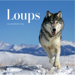 Calendrier Loups 2024