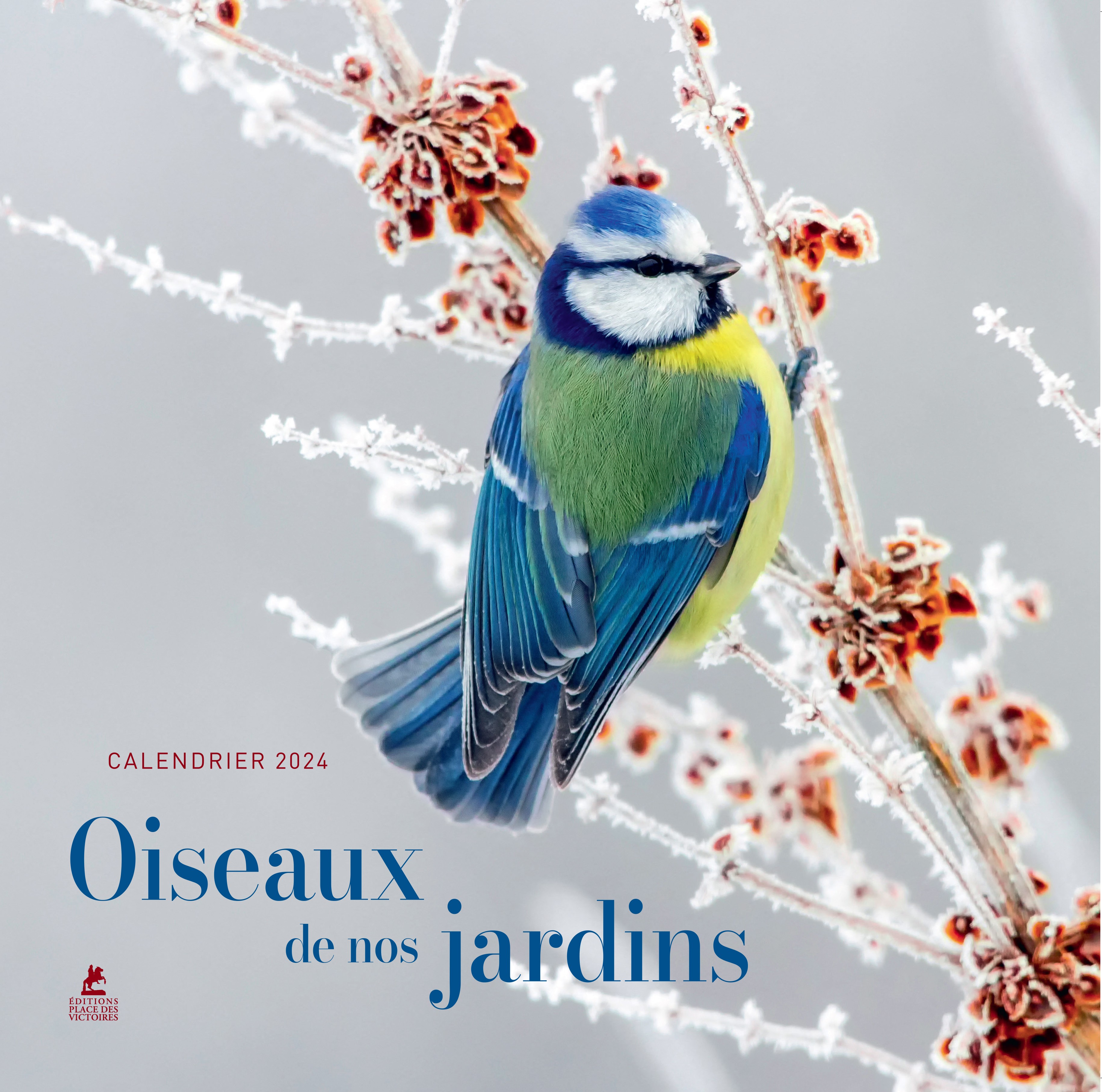 Calendrier mural Oiseaux du monde. Edition 2024 - COLLECTIF