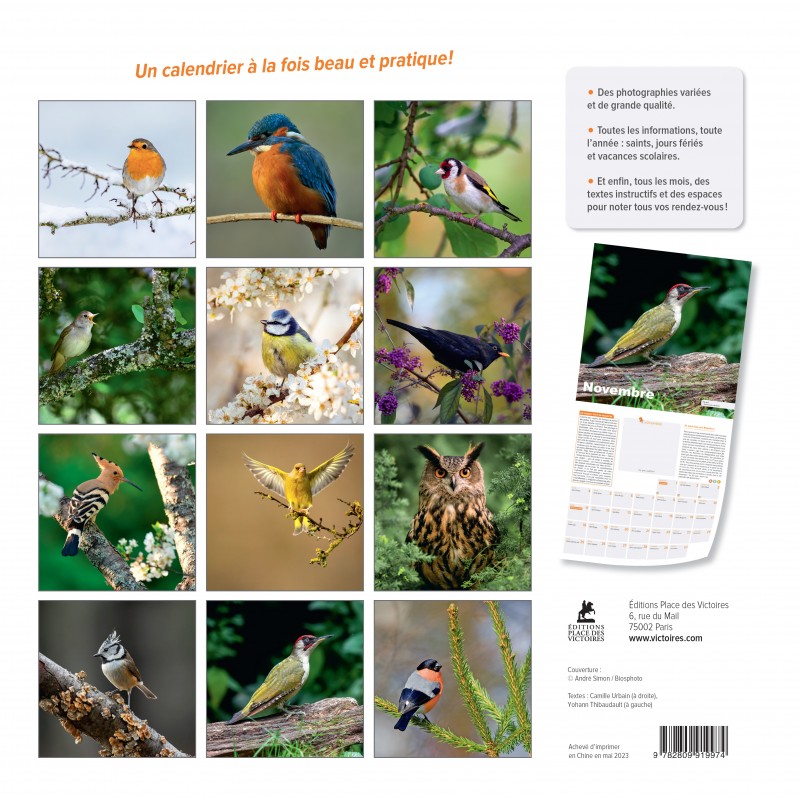 Calendrier 2024 à Imprimer 2024 Printable Calendar Monthly Planning Mensuel  Art Calendar Calendrier Illustré Oiseaux Birds Nature 