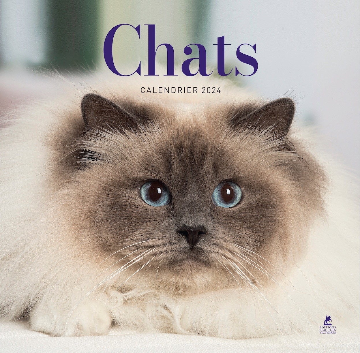 Calendrier 2024 - Chats