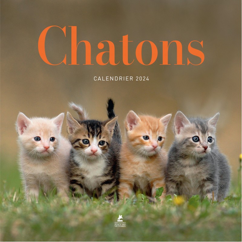 https://victoires.com/4923-thickbox_default/calendrier-chatons-2024.jpg