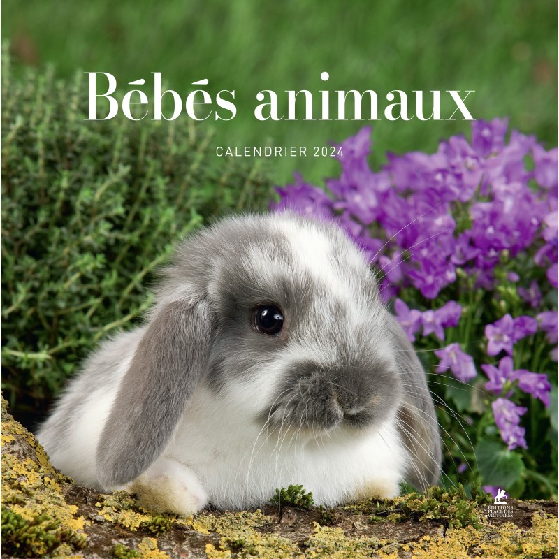https://victoires.com/4928-thickbox_default/calendrier-bebes-animaux-2024.jpg