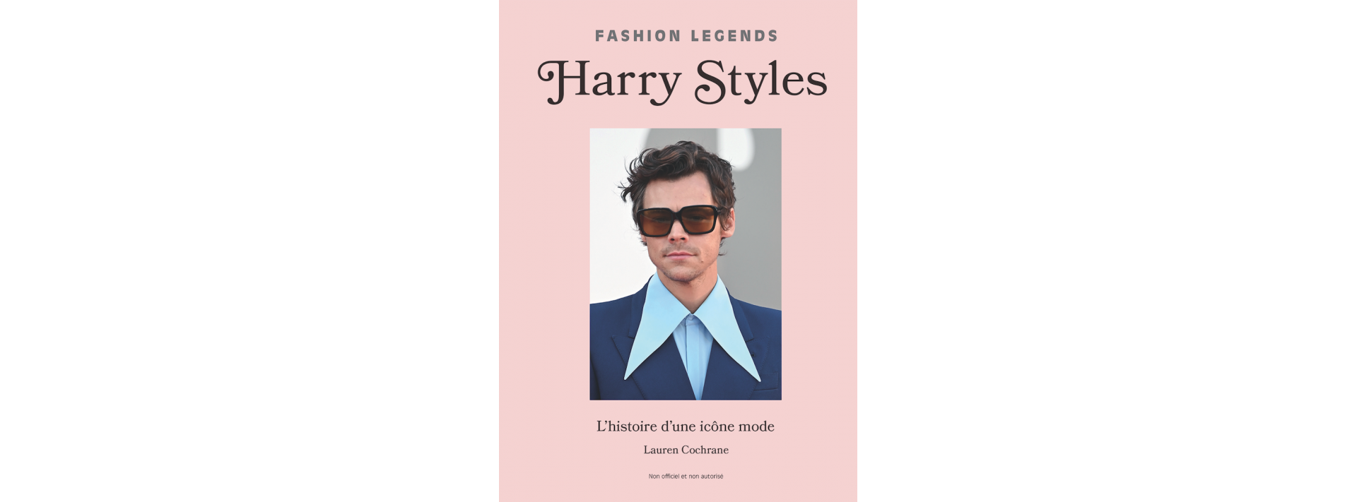Harry styles - livre