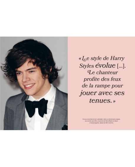 Harry styles - livre