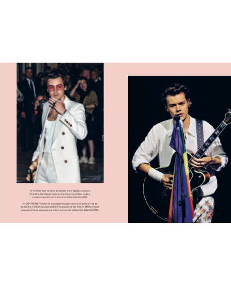 Harry styles - livre