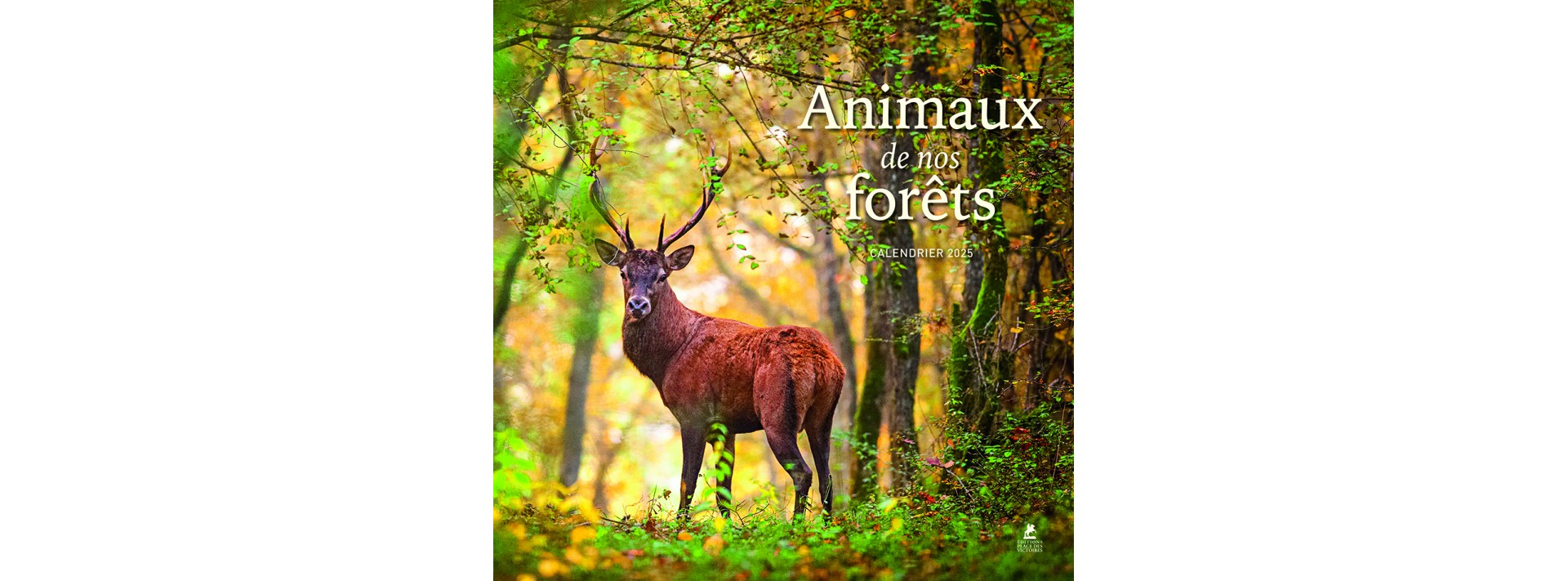 Animaux de nos forêts - Calendrier 2025