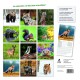 Animaux de nos forêts - Calendrier 2025