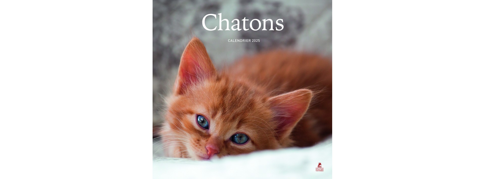 Chatons - Calendrier 2025