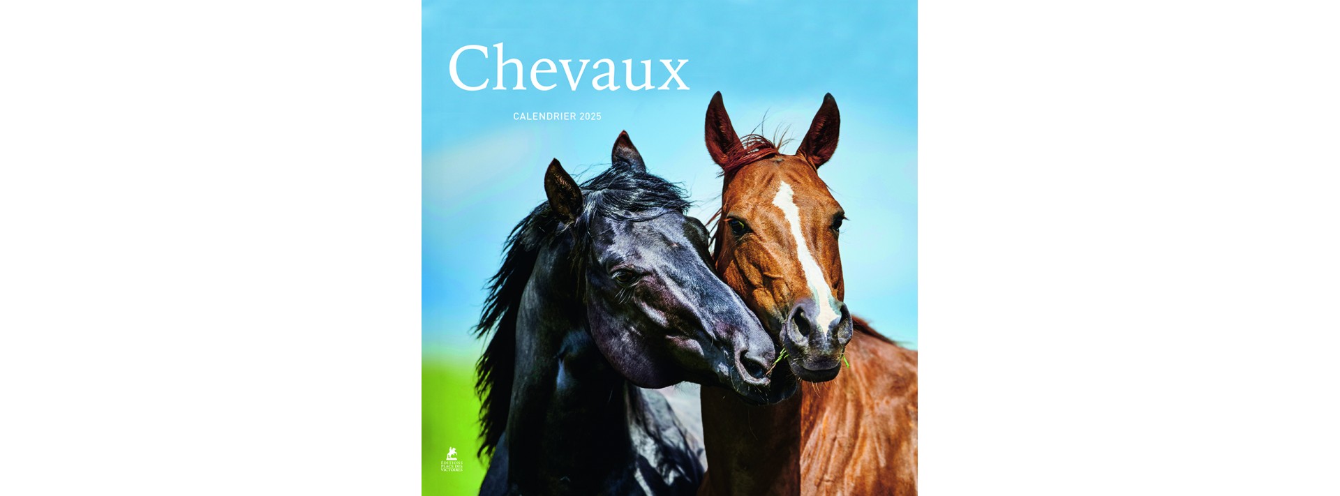 Chevaux - Calendrier 2025