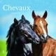 Chevaux - Calendrier 2025