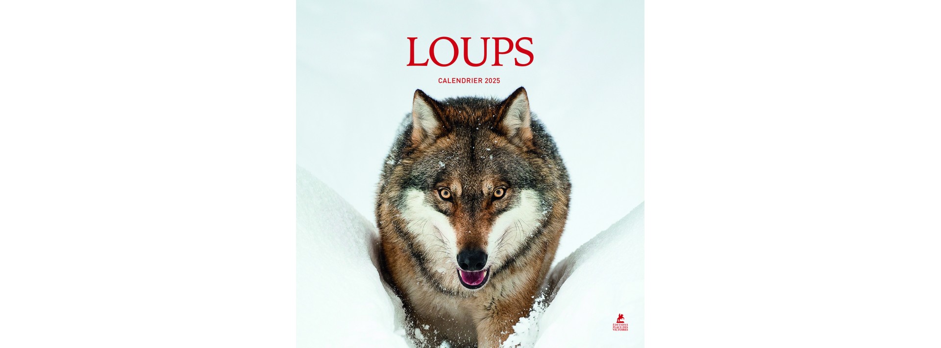 Loups - Calendrier 2025