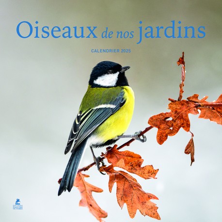 Oiseaux de nos jardins - Calendrier 2025